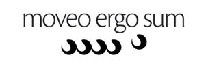Logo und Link zu moveo·ergo·sum-Radfahrlehrer